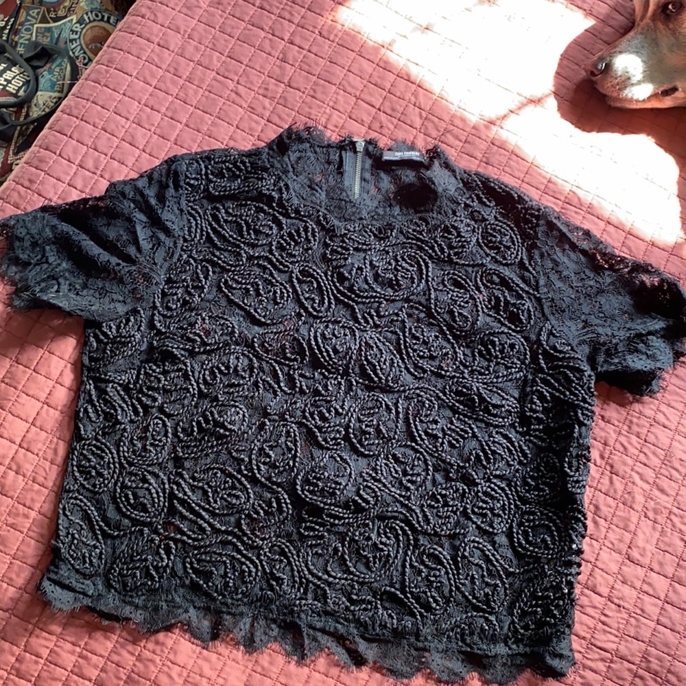 ZARA Mock Neck Sheer Lace top size L
